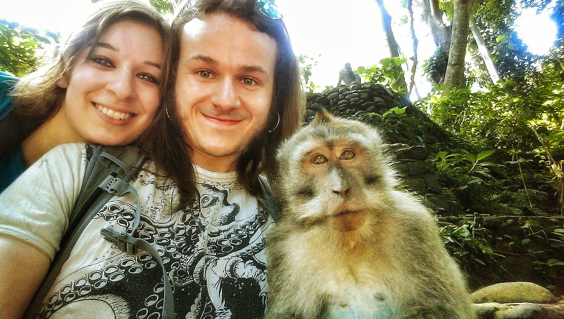 Bali Monkey Forest Indonesia