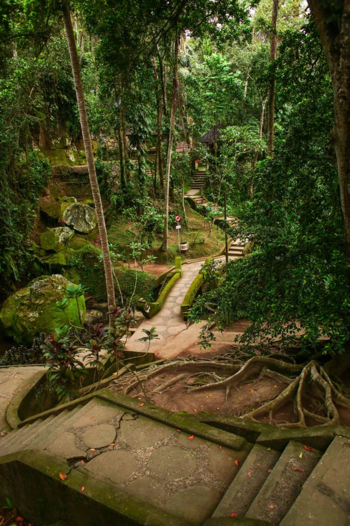 Goa Gajah Elephant Cave Bali Forest Walkways