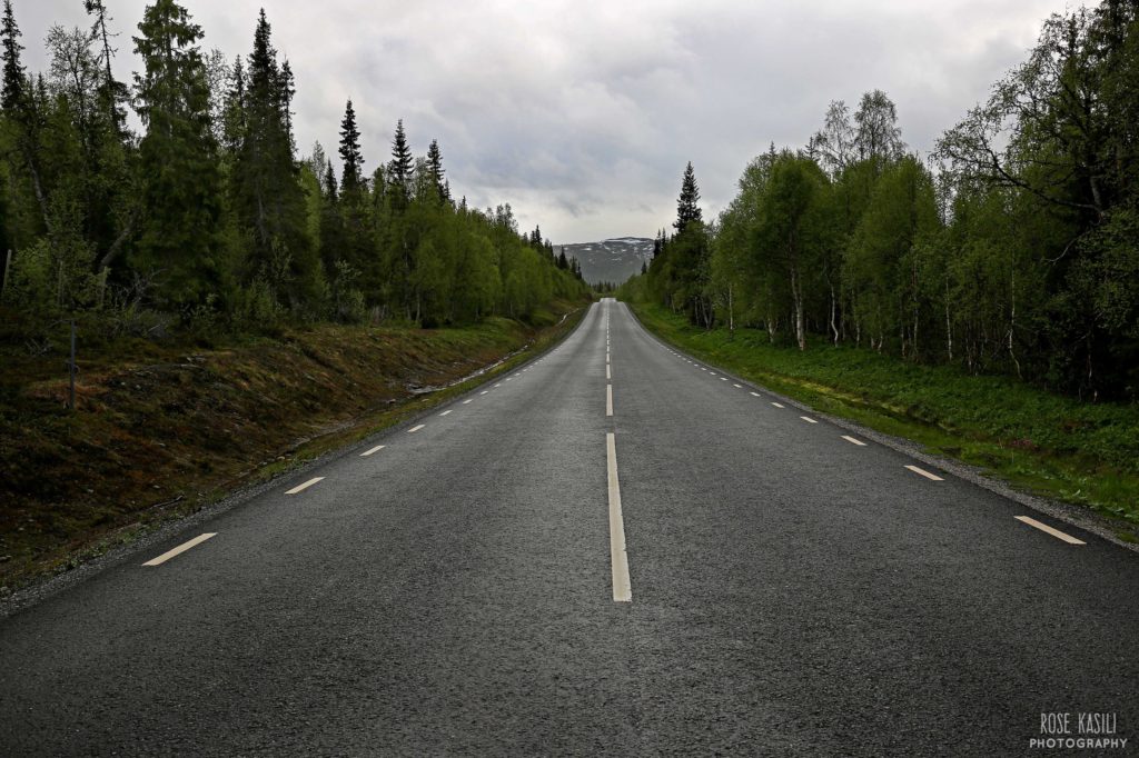 Vildmarksvägen - Sweden's Wilderness Route