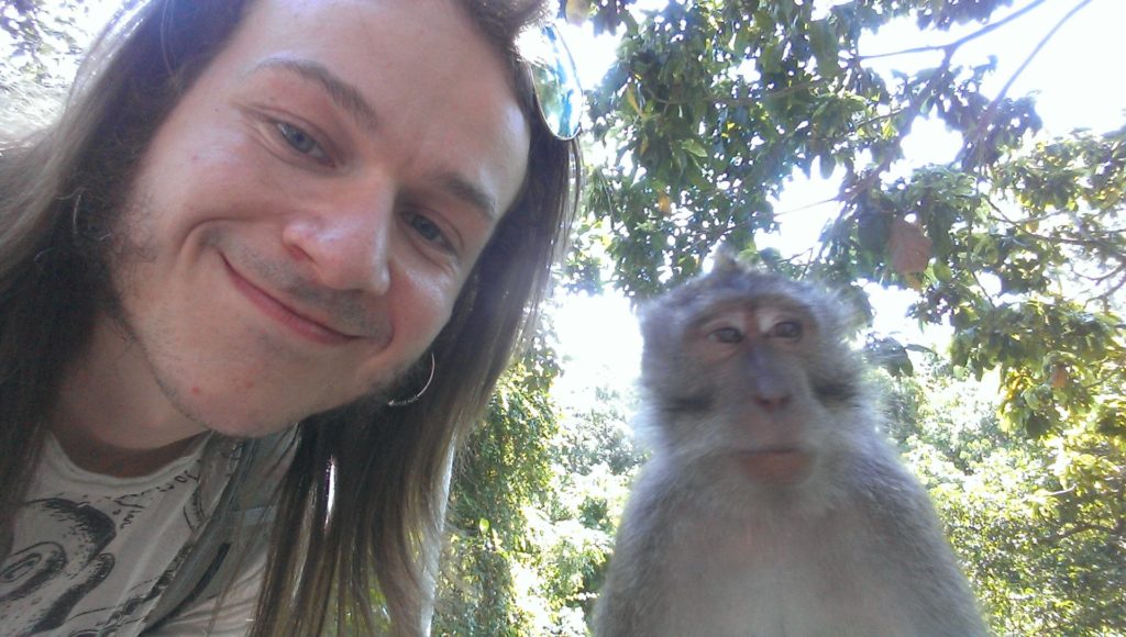The Sacred Monkey Forest Macaque Monkey Bali Ubud Indonesia