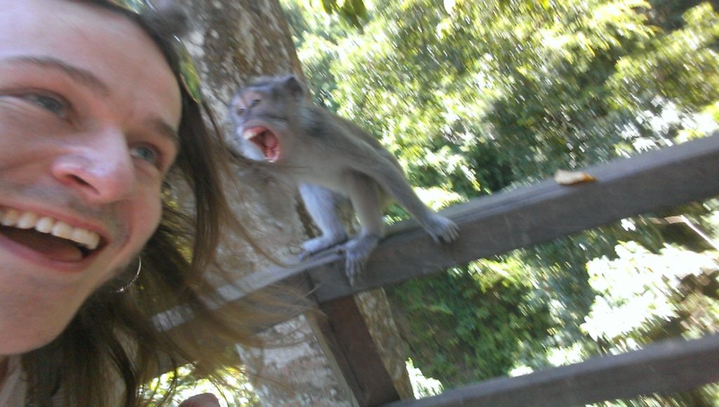 The Sacred Monkey Forest Macaque Monkey Bali Ubud Indonesia