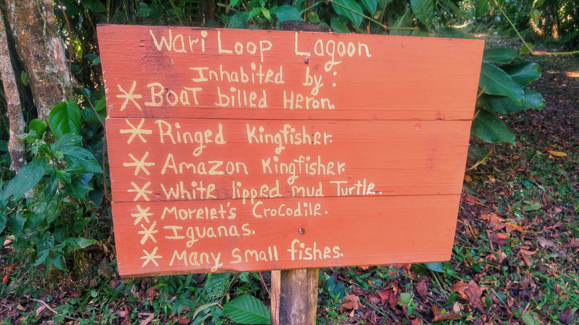 Cockscomb Basin Wildlife Sanctuary Wari Loop sign