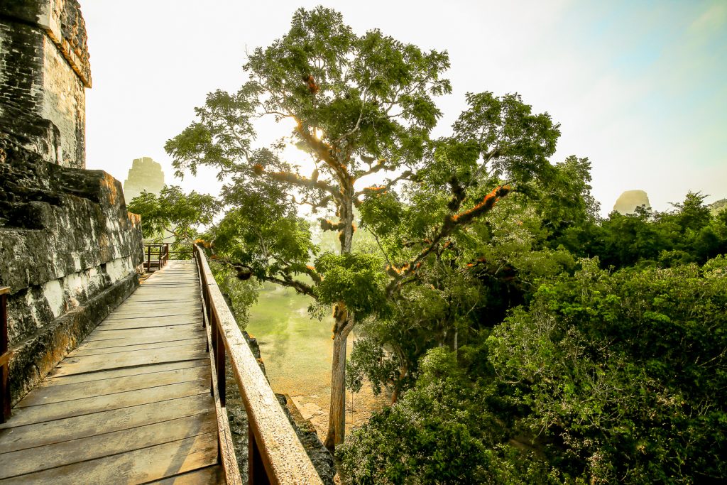 Sunrise at Tikal Temple II