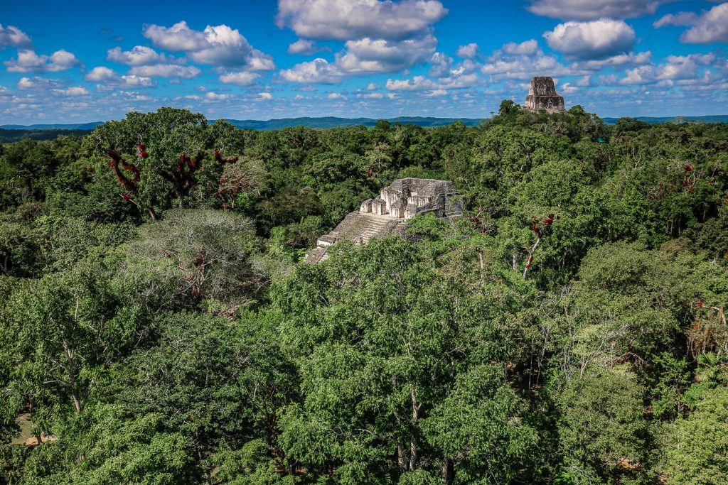 View across Tikal