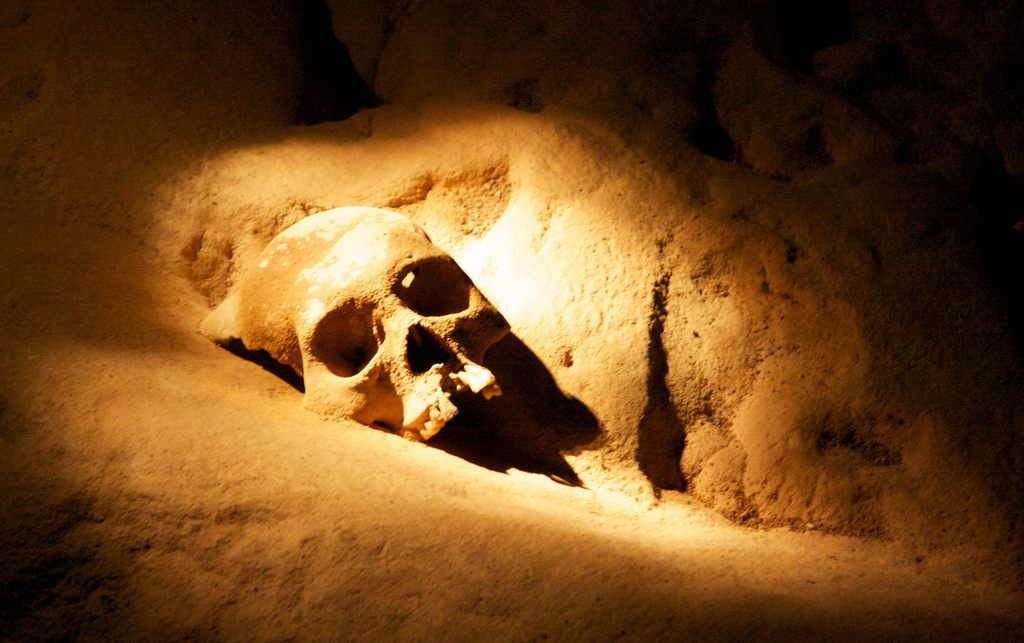 Cave Skull