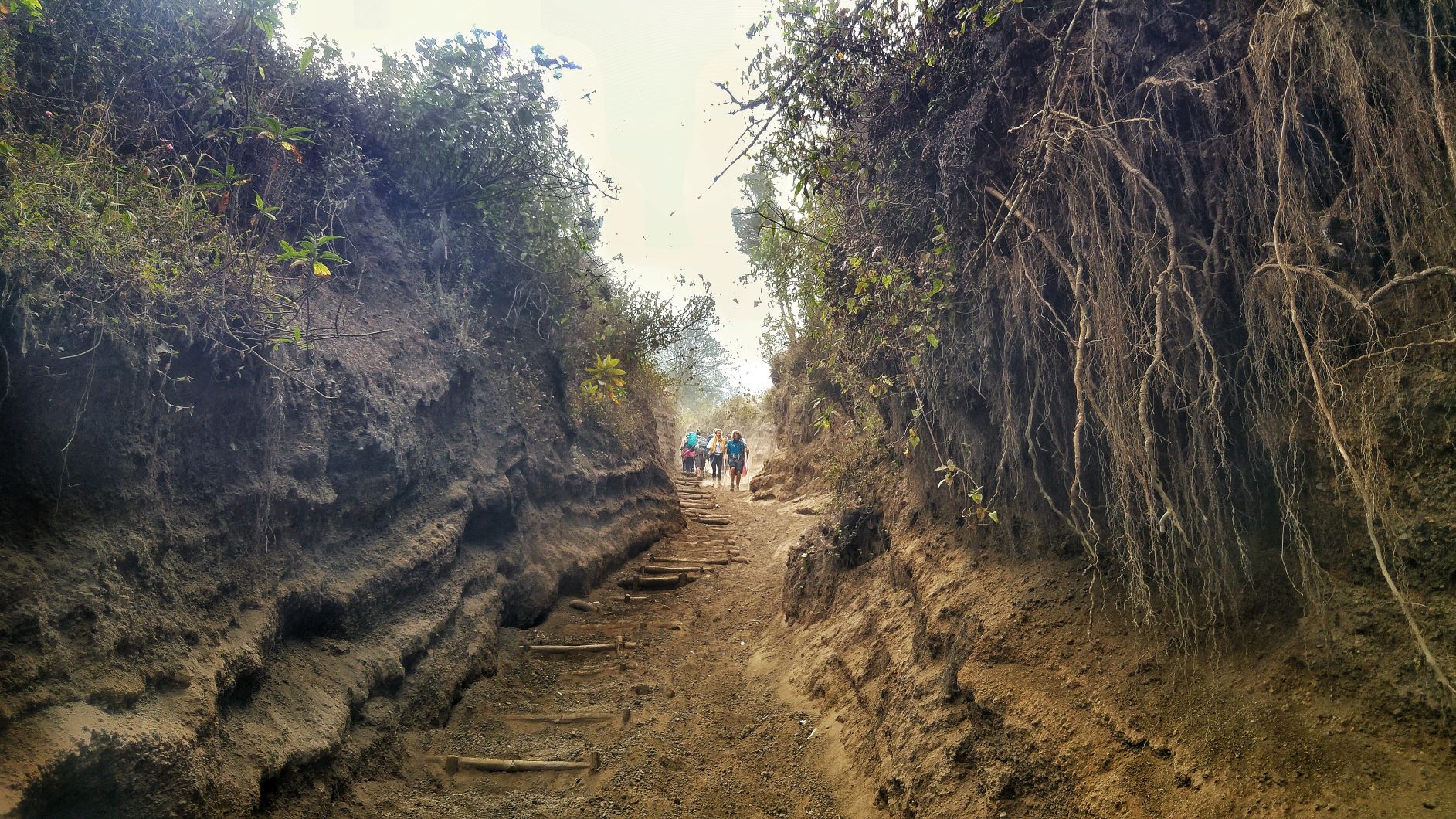 Steep hiking path Acatenango