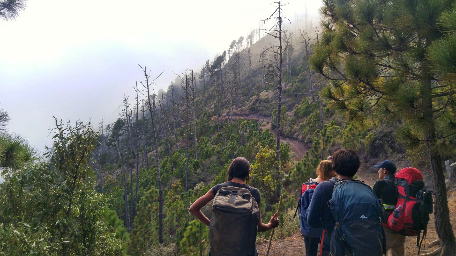 Acatenango Volcano hiking path