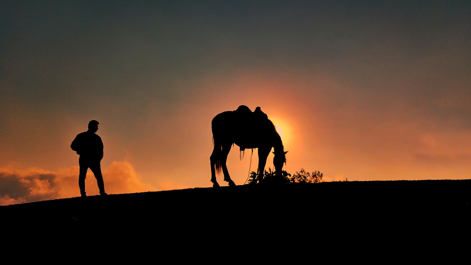 Man and horse sunset