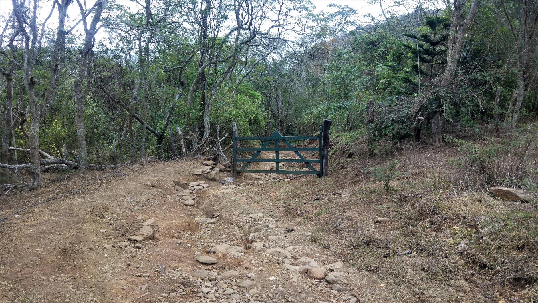 Second gate on the route to find Alberto Gutierrez