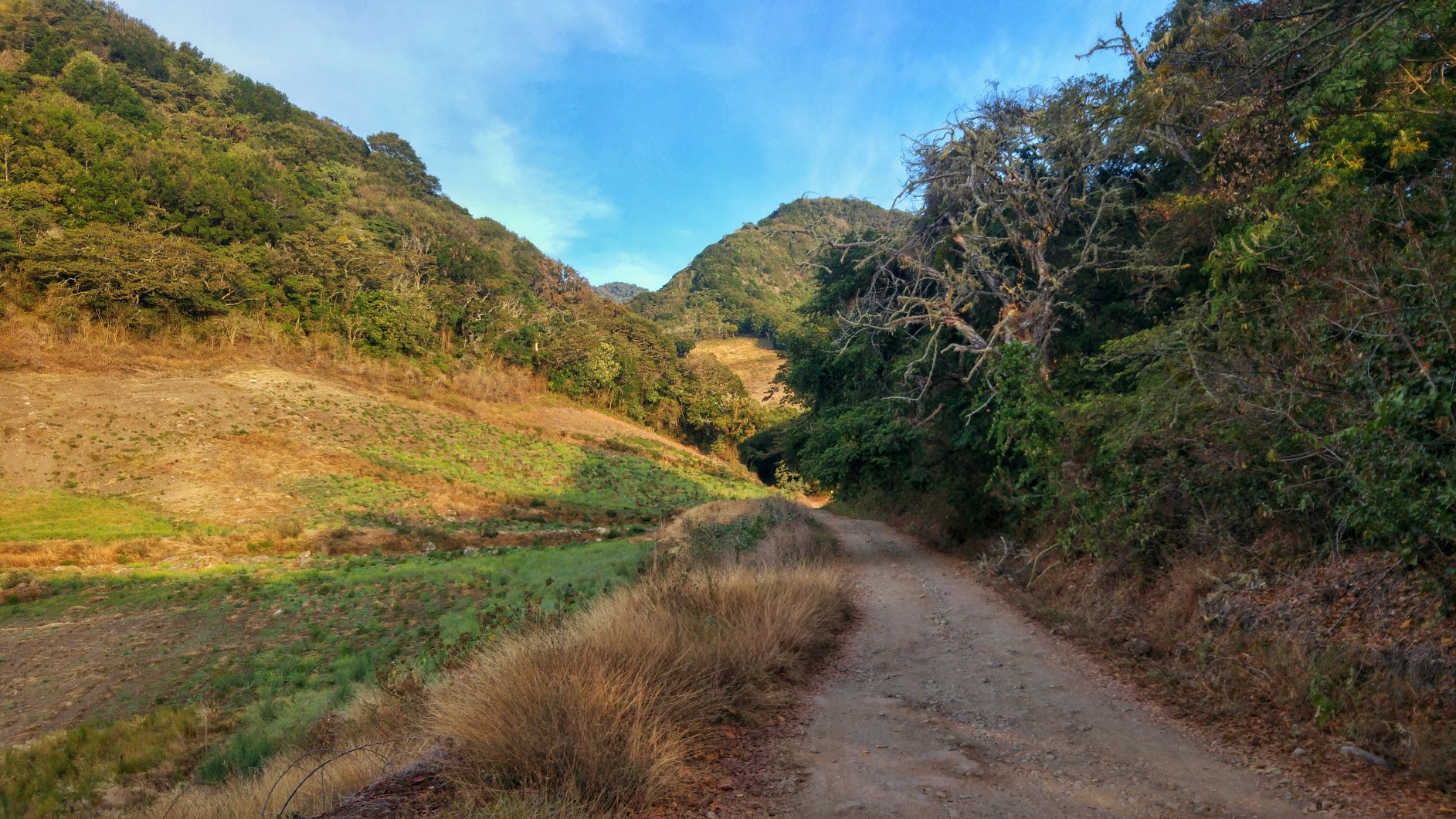 Fields and dusty trails