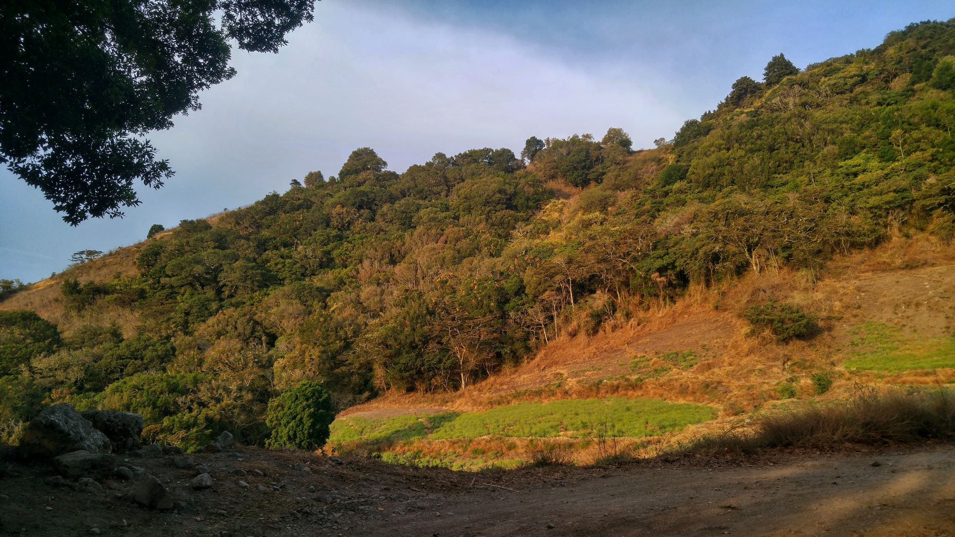 Baru Volcano Fields