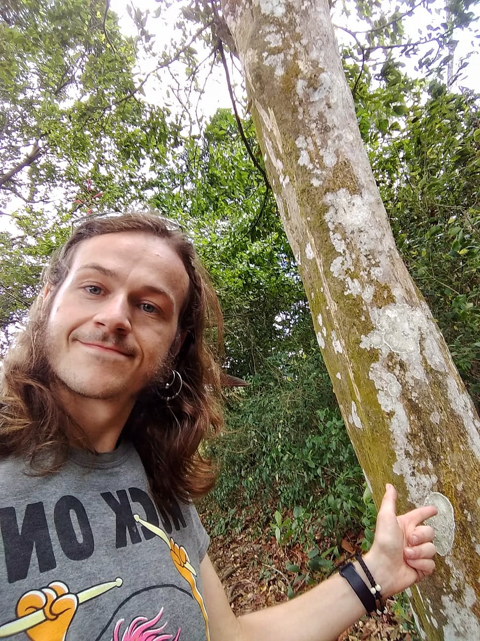 Pointing at a square tree in Panama