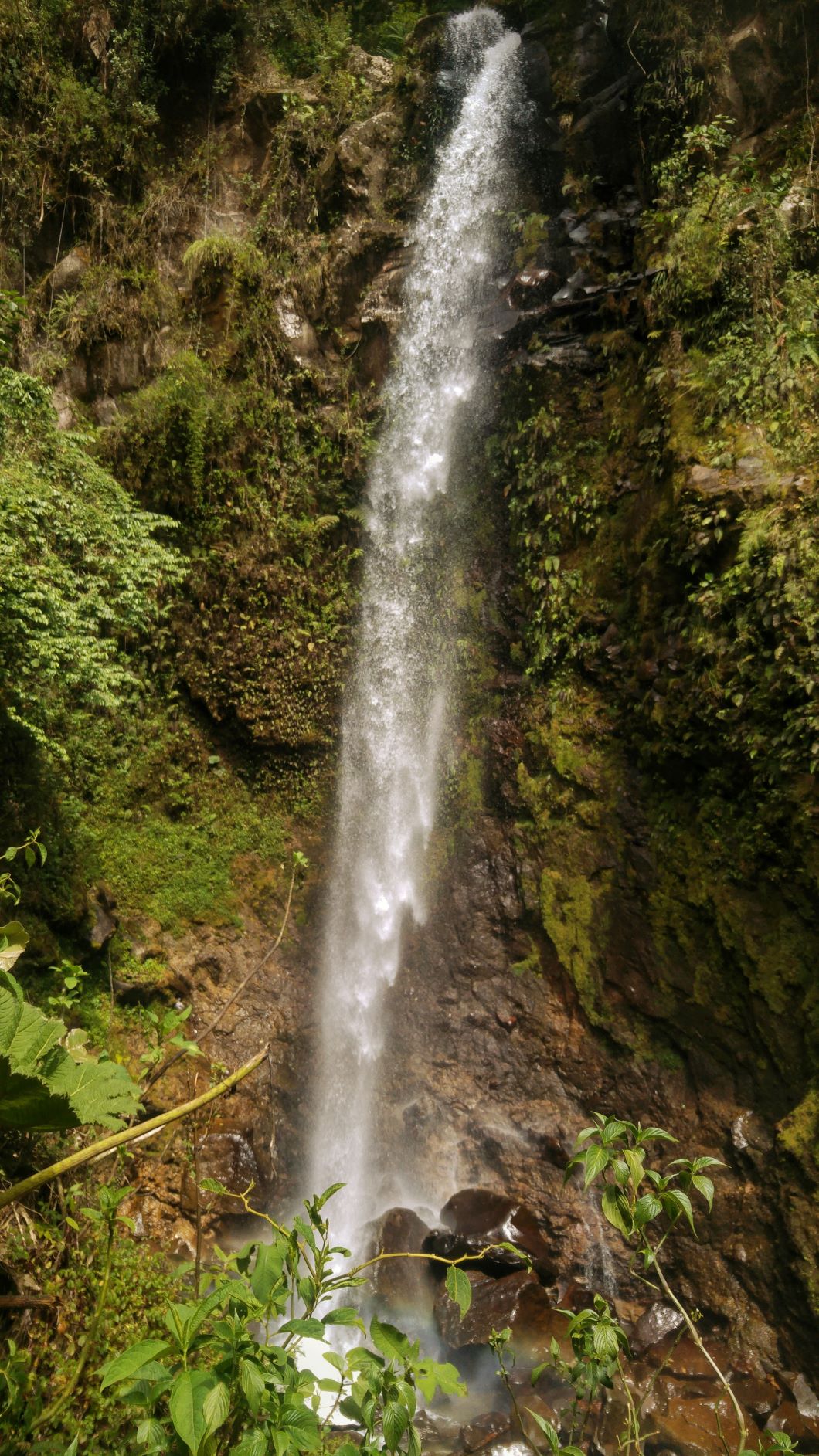 Waterfall in Panama