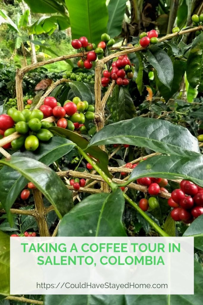 Colombia Coffee Tour in Salento