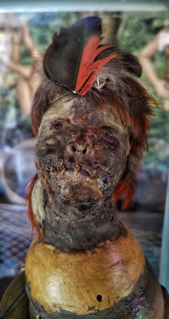 175 year old shrunken head in Ecuador