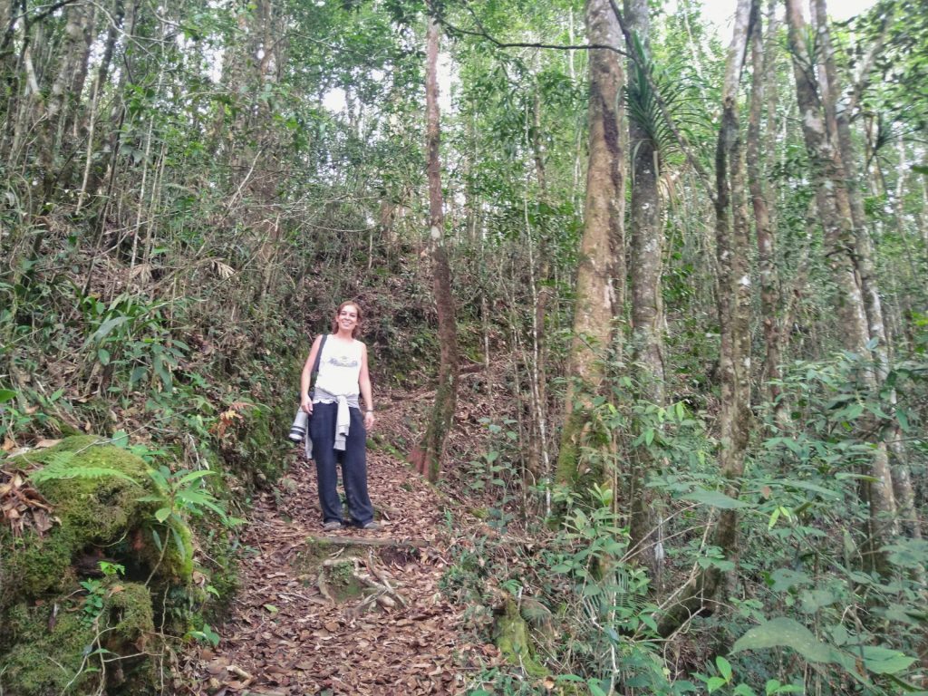 Kinabalu National Park Nature Trail hiking