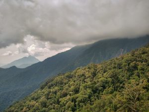 Rolling hills by Mount Kinabalu