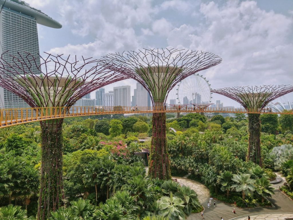 Singapore City as seen from Sueprtree Grove