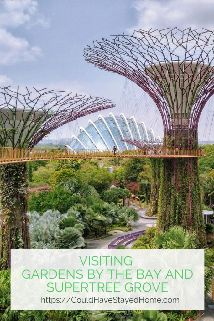 Visiting Gardens by the Bay and Supertree Grove