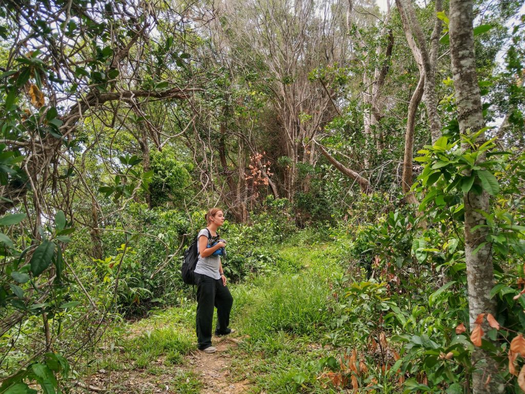 Mamutik Island Walking Trail