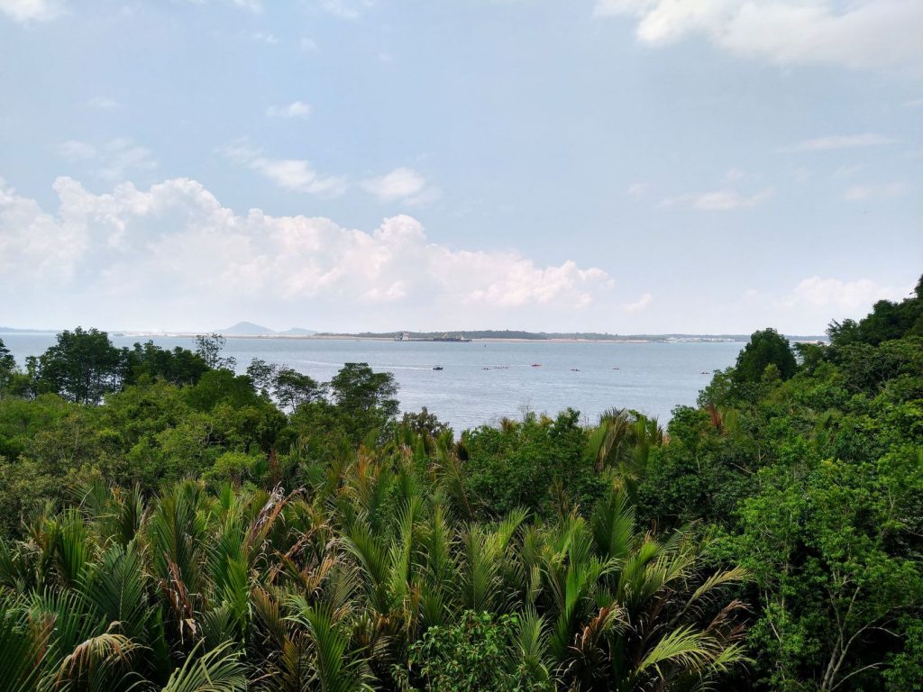View from a watchtower over trees and sea