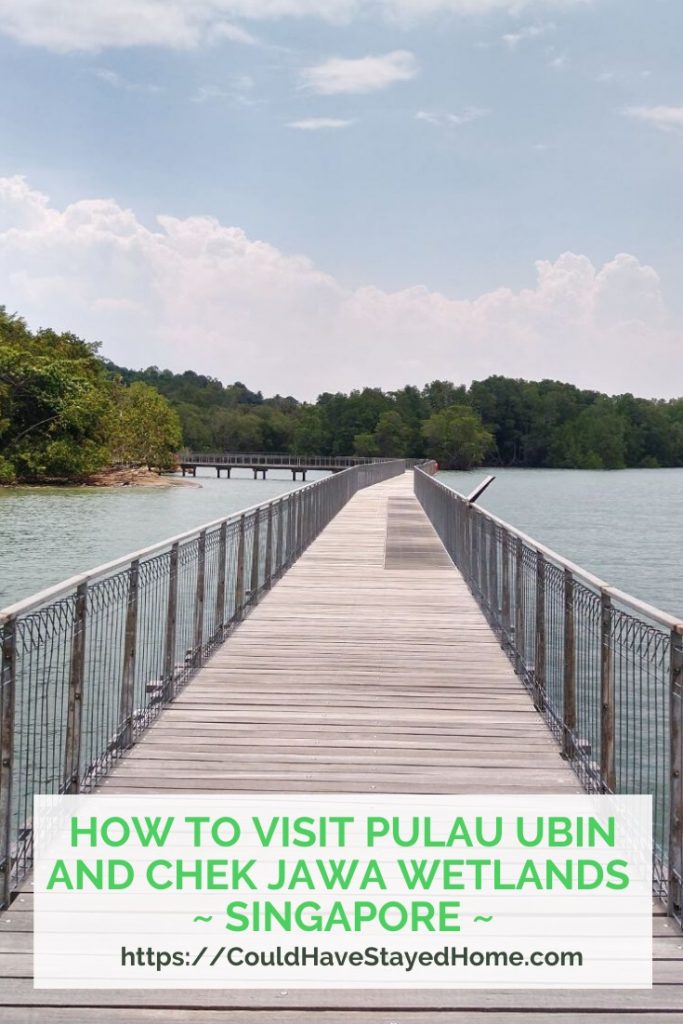 How to visit Pulau Ubin and Chek Jawa wetlands