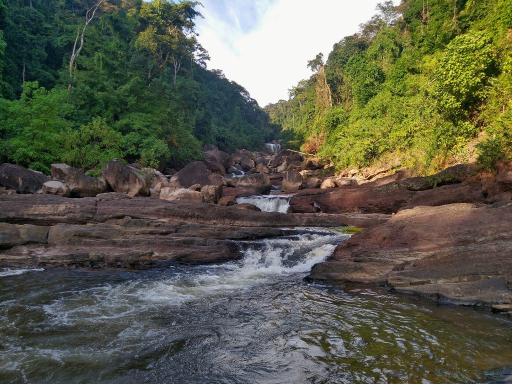 Waterfall and river in the jungle