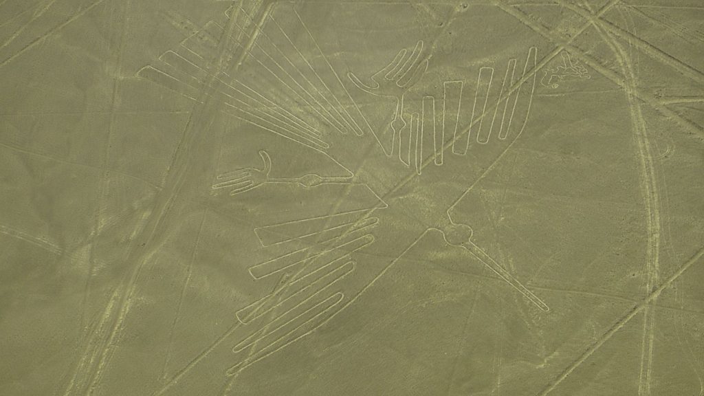 Nazca Lines Condor